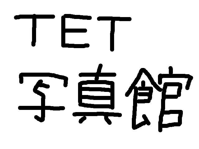 Ɏʐ^o܂B